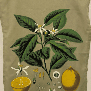 cape town illustrated 100% cotton tea towel