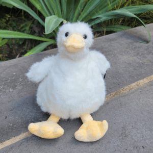 white duckling small