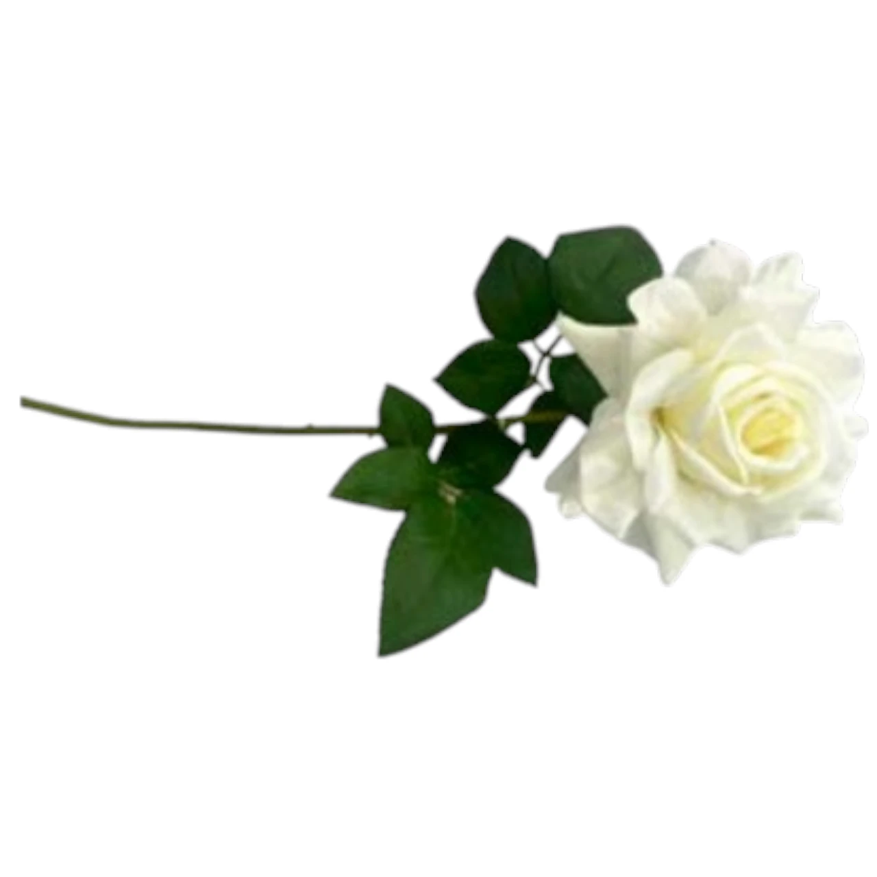 100wht rose open 20.4” 52cm white 100wht rose open 20.4” 52cm white