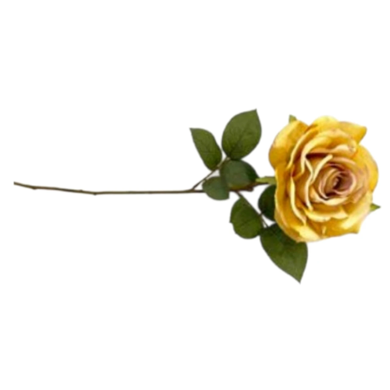 460rg rose classic 25” 64cm gold (1) 460rg rose classic 25” 64cm gold (1)