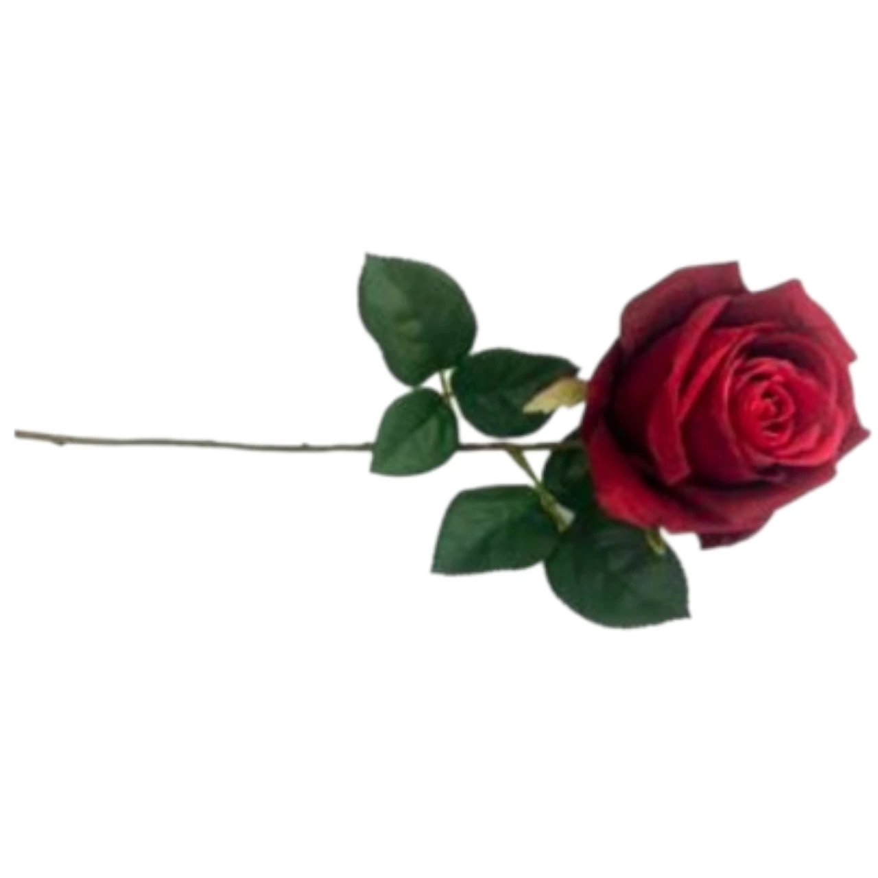 46r rose single 18” 46cm red 46r rose single 18” 46cm red