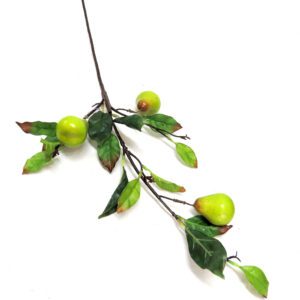 pomegranate spray ripening 80cml (copy)