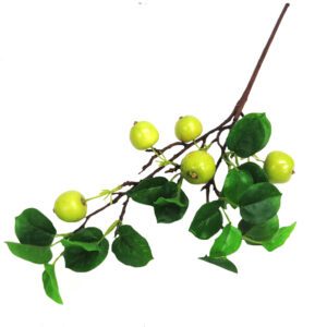 green pear stem 84cml (copy)