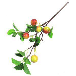 apple branch eve 69cml