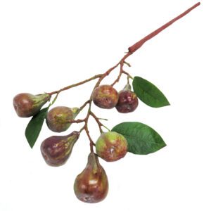 fig branch 76cml