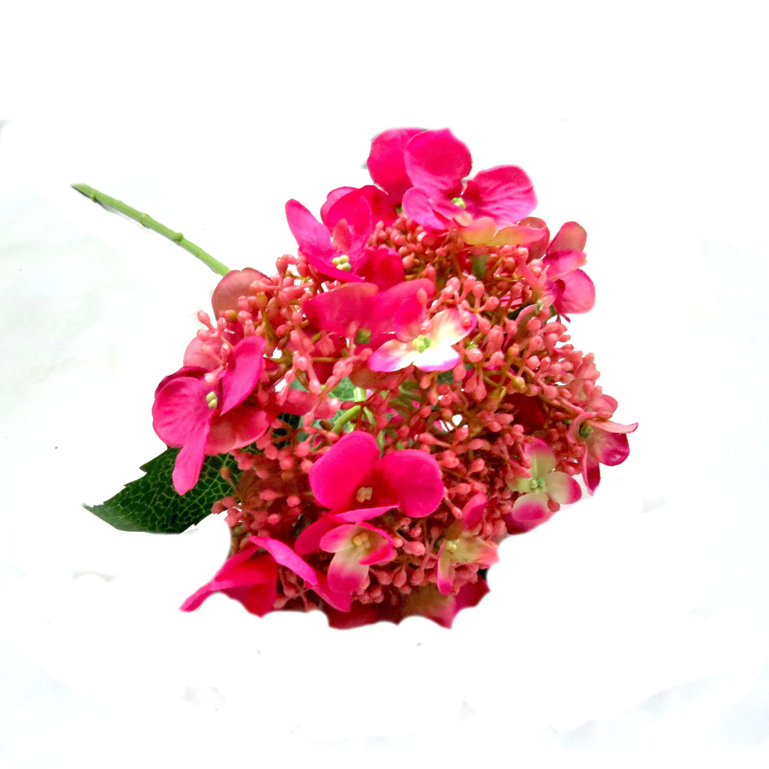 hydrangea bridal beauty54cml (copy) hydrangea bridal beauty54cml (copy)