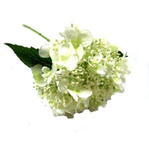 hydrangea quercifolia white bridal 54cml
