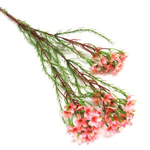 wax spray pink