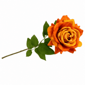 chatgpt image jul 14, 2026, 01 24 21 pm