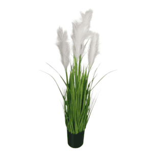 white pampas grass 95cm