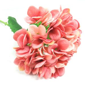 hydrangea painters palette 50cm (copy)
