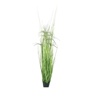 papyrus reeds 1.1m