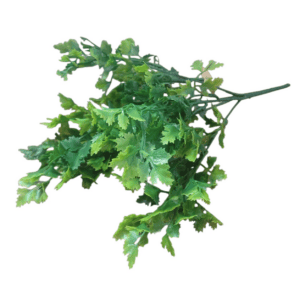 stem parsley 32cm