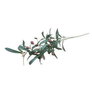 olive stem 70cm