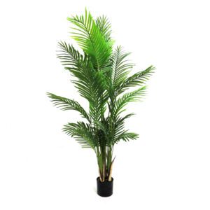 areca palm 140cmh (copy)