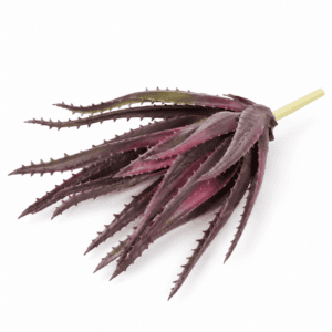 faux aloe – pink & purple 27cm