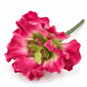 faux encrinite succulent – pink & green