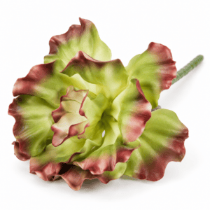 faux encrinite succulent – red & green