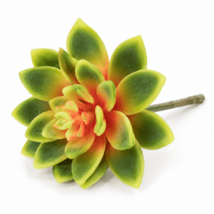faux encrinite succulent – yellow green 12cm