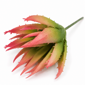 faux fleshy reed bud – orange green 19cm