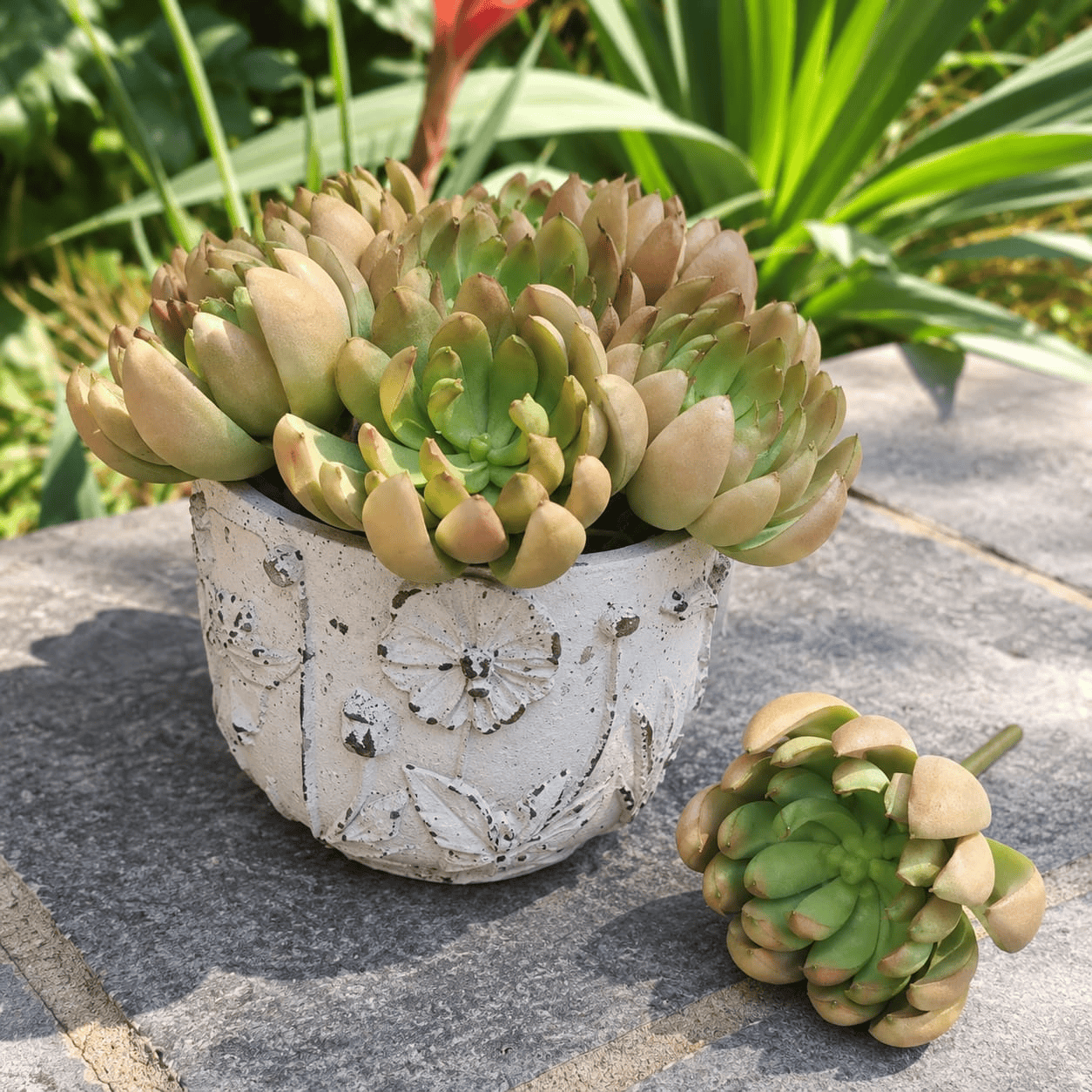 faux gem lily succulent – coffee green 11cm lifestyle faux gem lily succulent – coffee green 11cm lifestyle