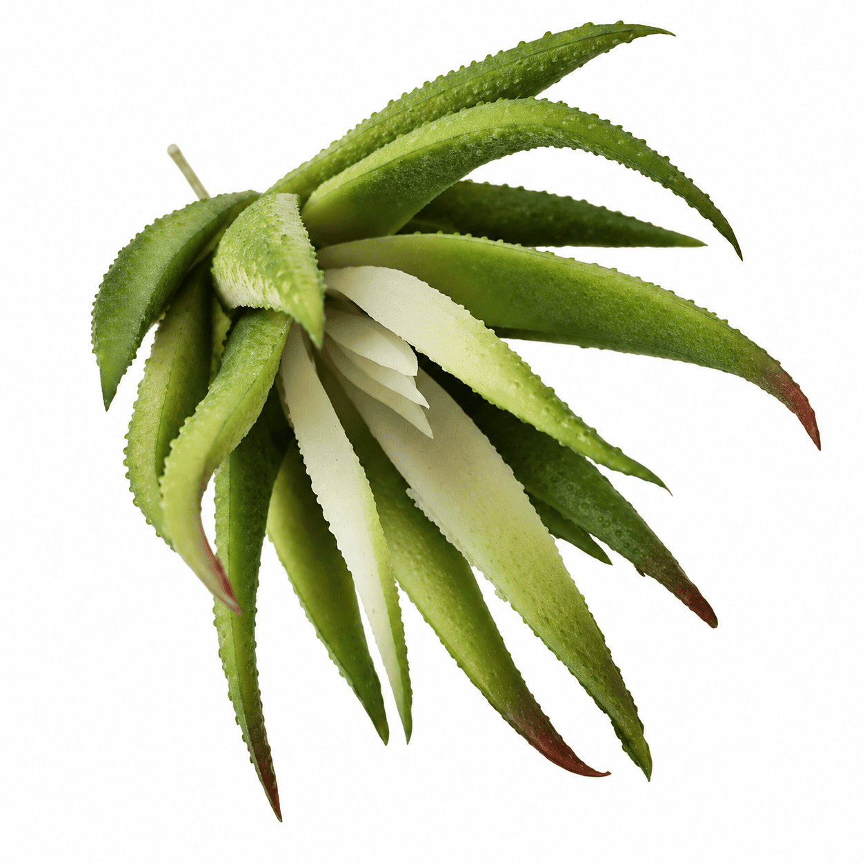 faux mini succulent – white & green faux mini succulent – white & green