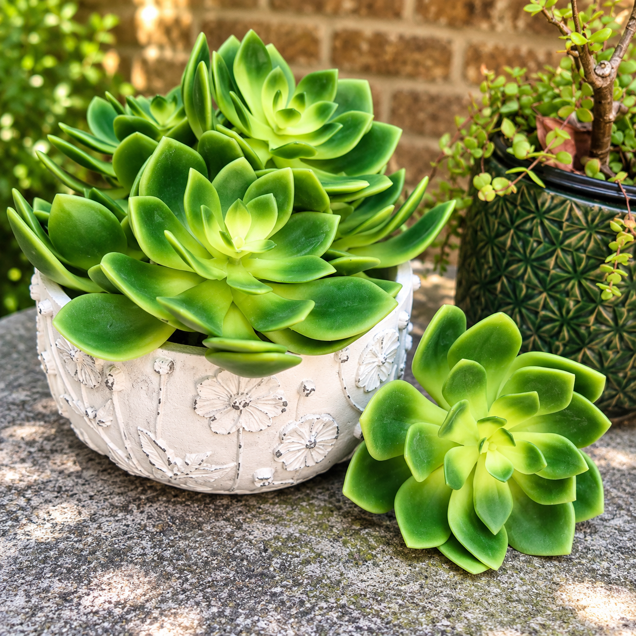 faux phoenix succulent – dark green 15cm lifestyle faux phoenix succulent – dark green 15cm lifestyle