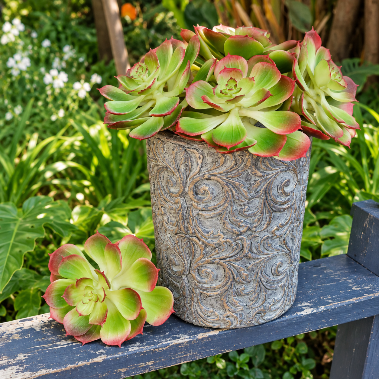 faux succulent – red & green lifestyle faux succulent – red & green lifestyle