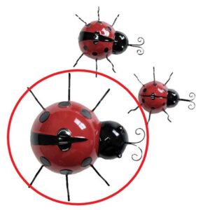 ladybird large yr17117 large