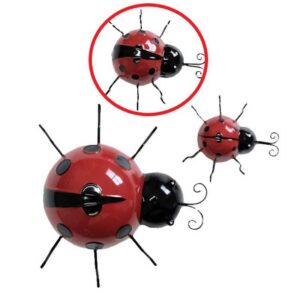 ladybird medium yr17117 medium